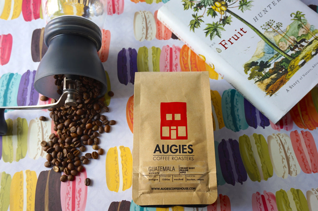 2016 Cup Tasters Champion Austin Amento from Augie's talks coffee - Ep. 3