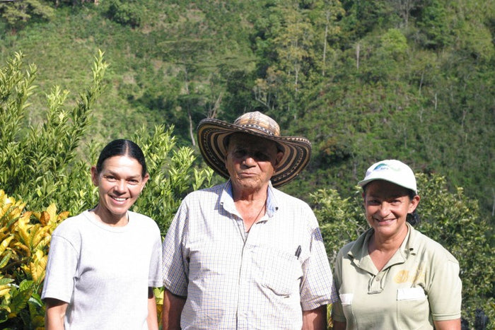 Is Coffee Sustainable? Learn what these 3 big certifications mean for you, farmers, and the planet.