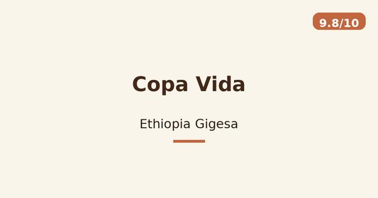 Copa Vida — Ethiopia Gigesa