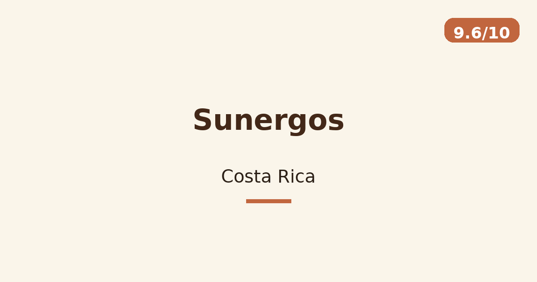 Sunergos — Costa Rica