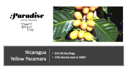 Nicaragua Yellow Pacamara Natural (4oz)